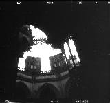 Holga - 12